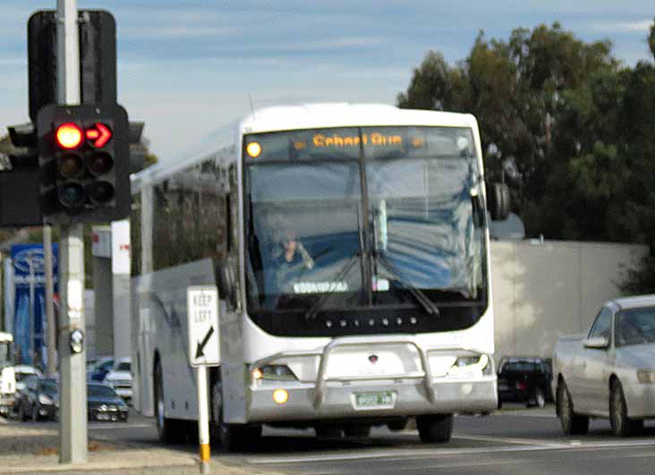 Westernport Scania K310IB Volgren Endura 305